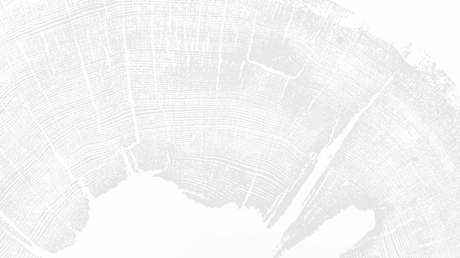 Фоновое изображение